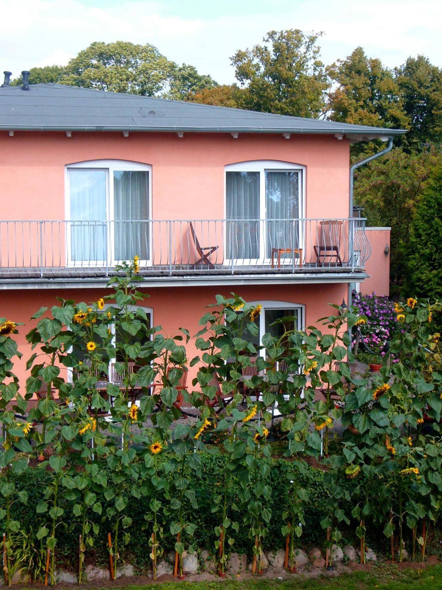Pension Waldeck Gohren Bagian luar foto